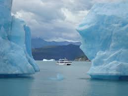 CALAFATE 